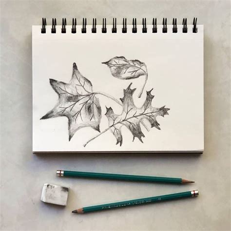 Autumn Leaves Falling Drawing