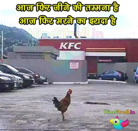 KFC Funny Picture