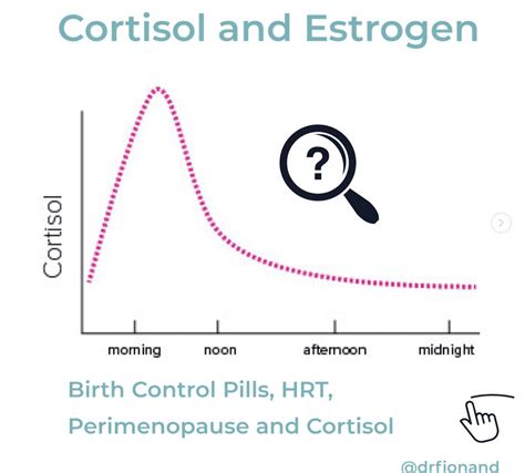 The Relationship Between Estrogen & Cortisol - White Lotus Clinic - what affects cortisol levels