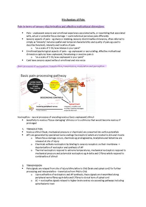 Mechanism of pain - NOTES - Mechanism of Pain Pain in terms of sensory discriminative and ...