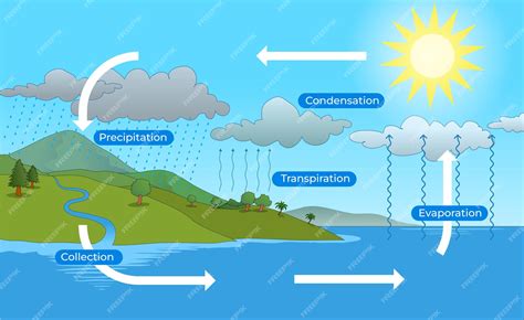Illustration of simple water cycle diagram | Premium Vector