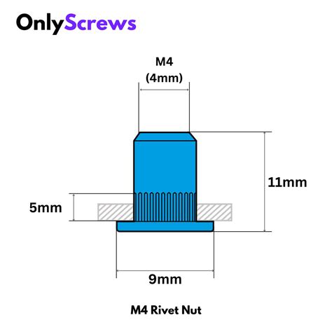 M4 Rivet/Insert Nut SS304 (Dia. 4mm) – OnlyScrews
