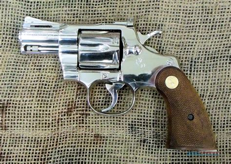 Image result for Bright Colt Python 2 1 2