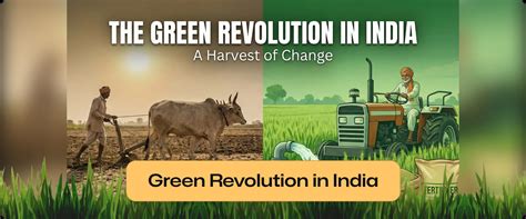 Green Revolution in India: History, Objectives & Impact