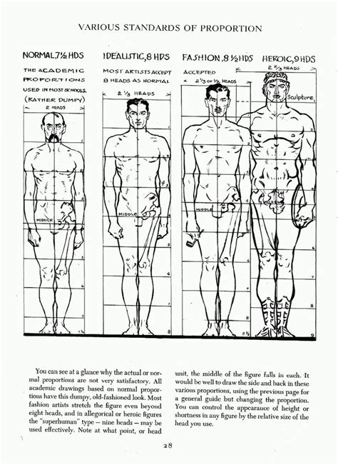 Human Body Drawing Proportions - Warehouse of Ideas