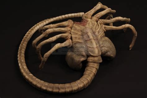 Image result for Alien vs Predator Facehugger Attack