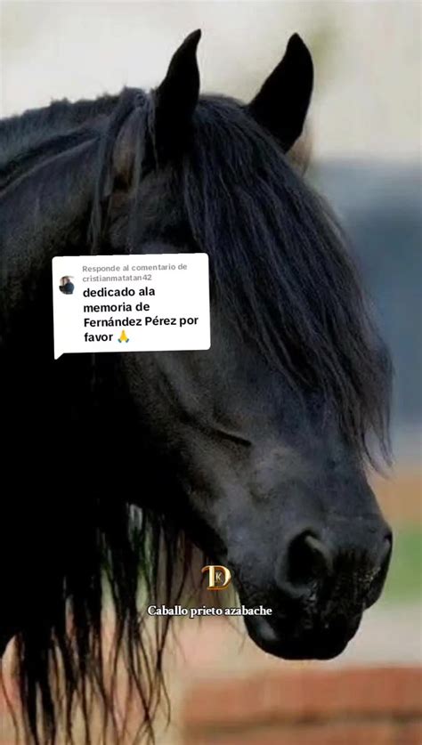 Image result for DataTable Example