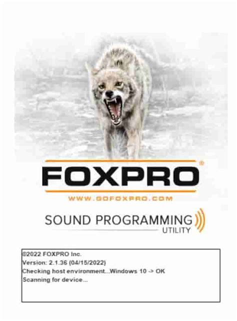 Fox Pro Programming 的图像结果