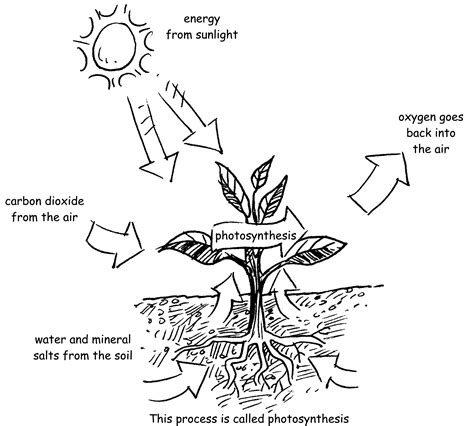 Energy Simple Drawing 的图像结果