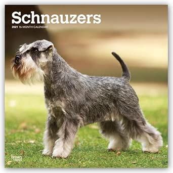 Schnauzers International Edition 2021 Square Wall Calendar : BrownTrout ...