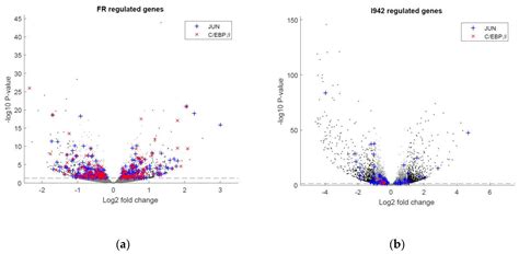 Genome-Wide Mapping Defines a Role for C/EBPβ and c-Jun in Non ...