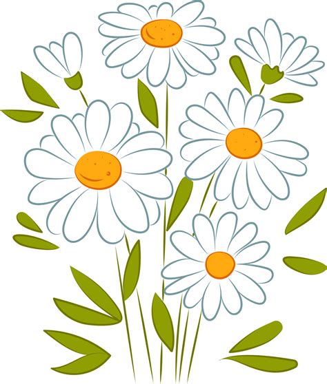 white daisy clipart #4037526 | Clipart Library