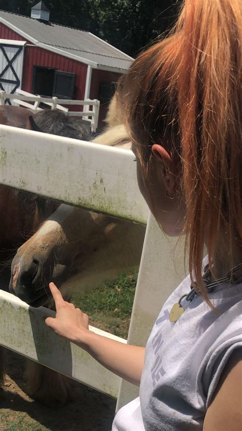 Hayley feeling a little hoarse : r/Paramore