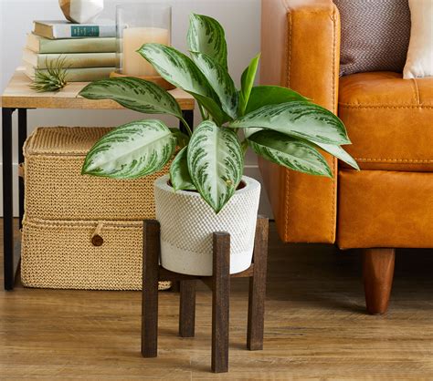 Diy Indoor Plant Stand 55 Best Indoor Plant Stands Of 2025