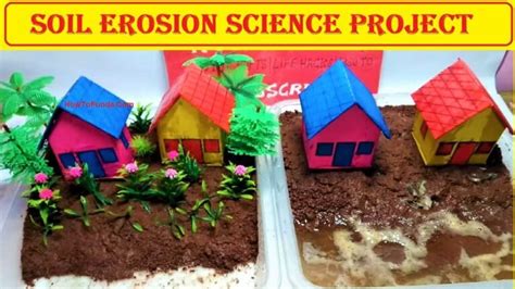 Image result for Science Method Projects