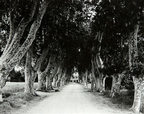 Sales History of Bruce Zander | Artwork Network