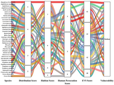 Reptile Biodiversity and Vulnerability in Bolivia’s Beni Department ...