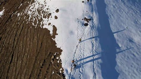 People Walking towards Camera 的图像结果