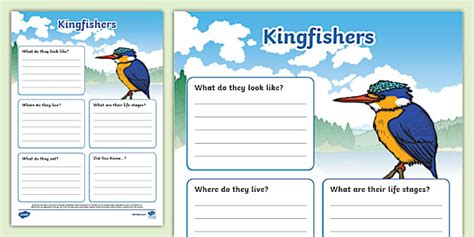 Kingfisher KS1 Fact File Template - Twinkl