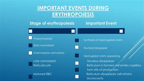 Stem cell different stages of erythropoiesis | PDF