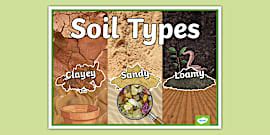 Surface of the Earth: Soil Types: PowerPoint Presentation