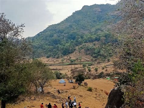 RISING ADVENTURES (2026) All You Need to Know BEFORE You Go (with ...