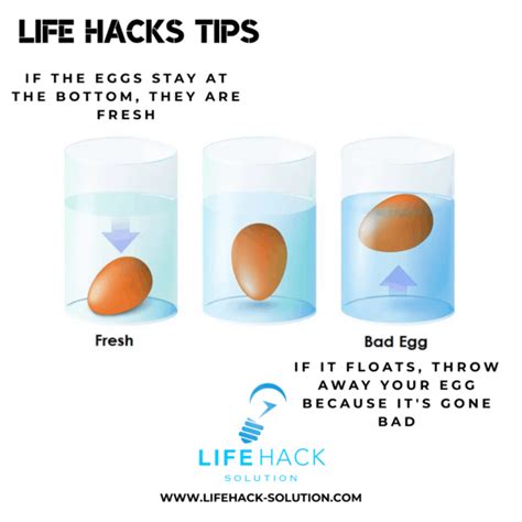 Life Hacking Tips 的图像结果