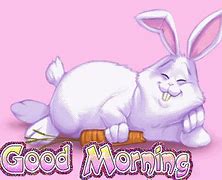 Image result for Cute Bunny Good Morning