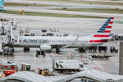 American Airlines Boeing 737-800 Suffers Multiple Bird Strikes