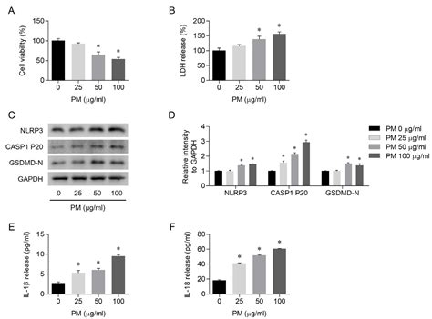 TBHQ Alleviates Particulate Matter-Induced Pyroptosis in Human Nasal ...