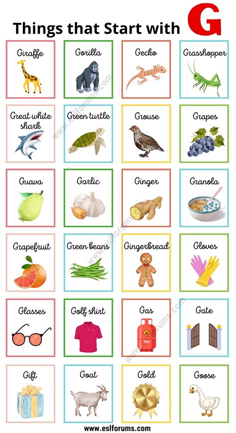 288 Great Things that Start with G - ESL Forums