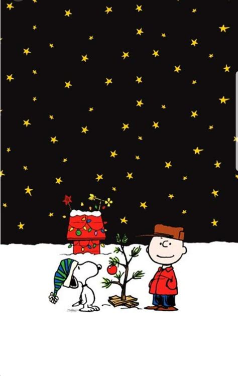 [200+] Charlie Brown Wallpapers | Wallpapers.com