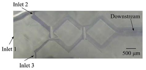 PDMS Microfabrication and Design for Microfluidics and Sustainable ...