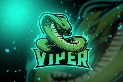 Image result for Python Coding Mascot