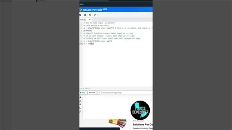 Python Input Tutorial 的图像结果