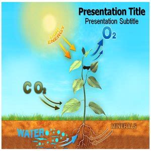 Buy Photosynthesis Powerpoint Templates - Photosynthesis Powerpoint ...