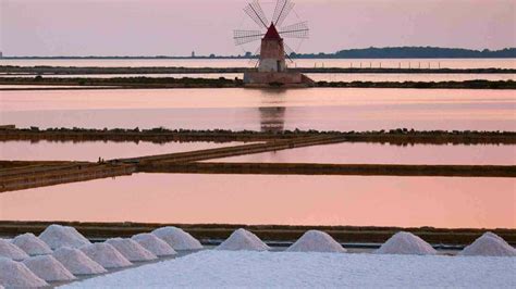 World Wetlands Day | Meer