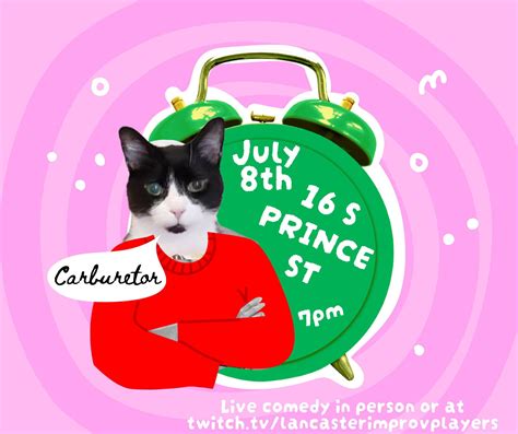 Multiple bear sightings in busy areas of Lancaster County. Near the ...