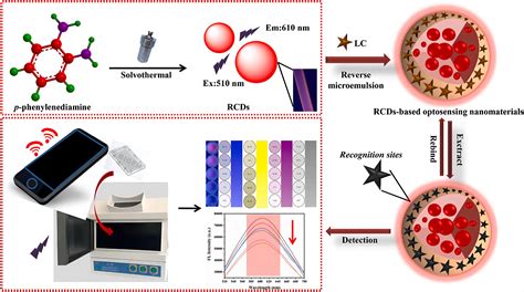 Research Advances in Nanosensor for Pesticide Detection in Agricultural ...