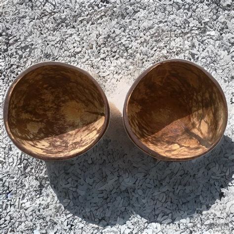 Coconut Shell Big Bowl (300ml to 350 ml) 100% Biodegradable I Eco ...