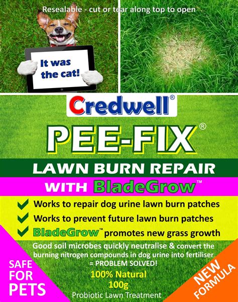 How To Stop Grass Staining From Dog Pee at Ellie Newbigin blog - what kills grass