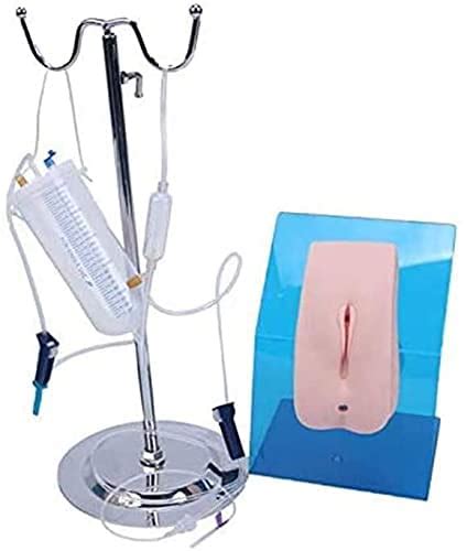 Buy GLJY Catheterization Simulator Model, Male or Female ...