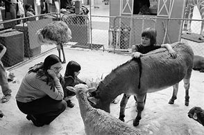 Image result for Petting Zoo Animals List