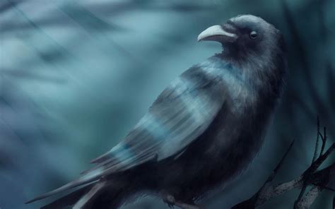 Download wallpaper 1680x1050 raven, bird, branch, black, art widescreen ...