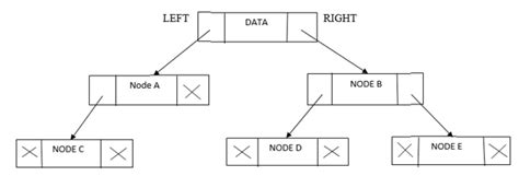 Image result for Python Binary Tree Root