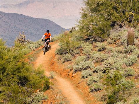 ARIZONA - Black Canyon Trail Mountain Bike Tour - Escape Adventures