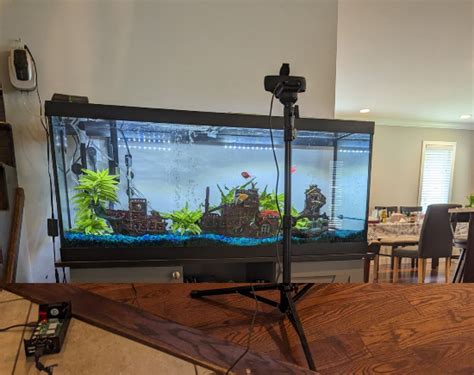 Python Aquarium System 的图像结果