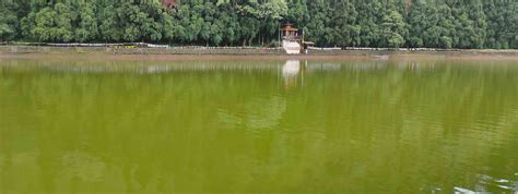 Silk Route Tourism - Explore Hidden Gems of East Sikkim | Lingtam ...