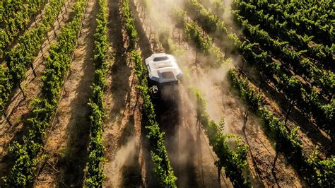 Automated Machine Examples 的图像结果