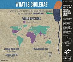 Image result for cholera